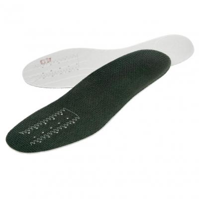 Canis - DRYSOLE